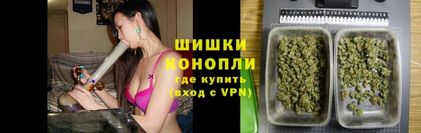 сатива Верея