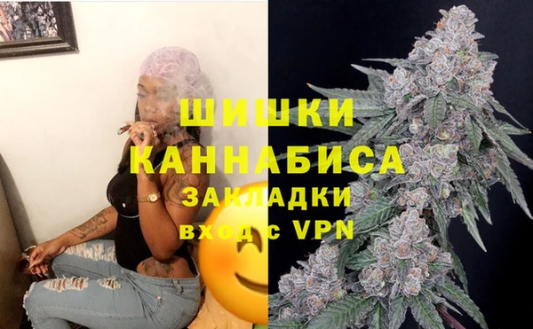 сатива Верея