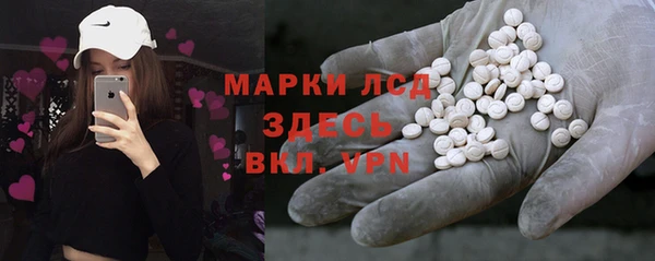 сатива Верея