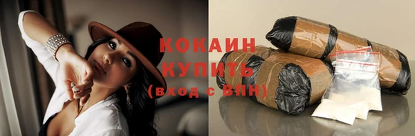 сатива Верея