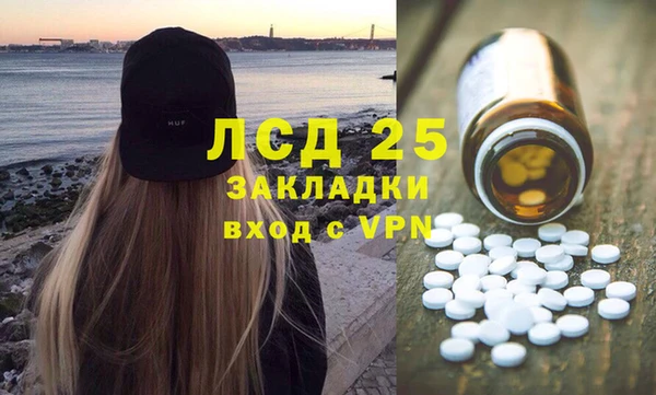 сатива Верея
