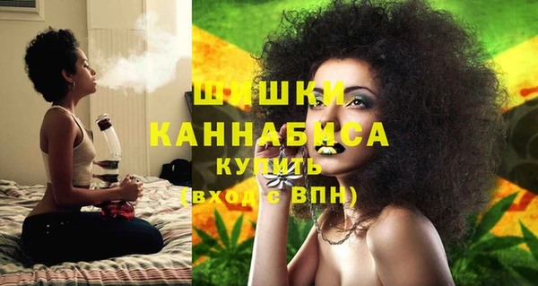 сатива Верея