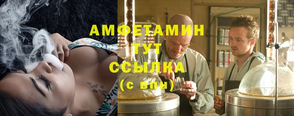 сатива Верея