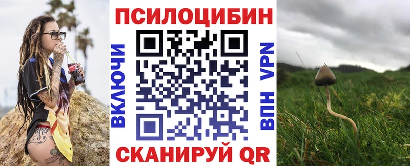 Псилоцибиновые грибы мицелий mega как войти Новоржев