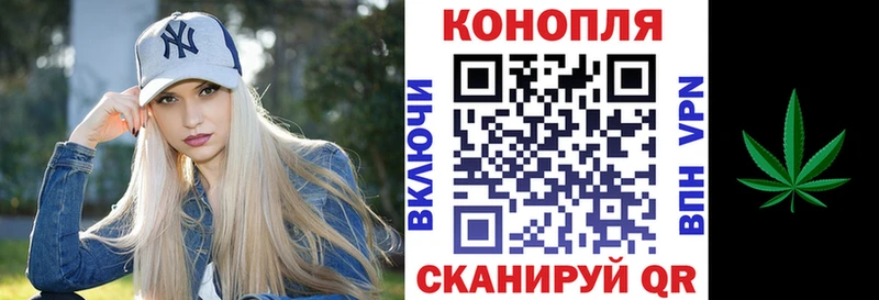 даркнет сайт  hydra сайт  МАРИХУАНА семена  Новоржев 